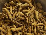 Turmeric from Vietnam