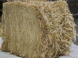 Wheat Straw - фото 1